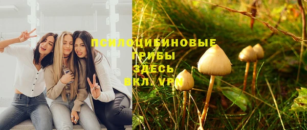 прущие крисы Алзамай