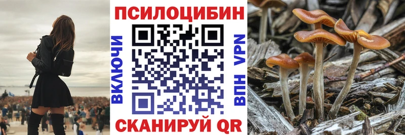 Псилоцибиновые грибы мицелий  цены наркотик  KRAKEN как войти  Новый Оскол 