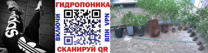 Шишки марихуана индика  MEGA зеркало  Новый Оскол 